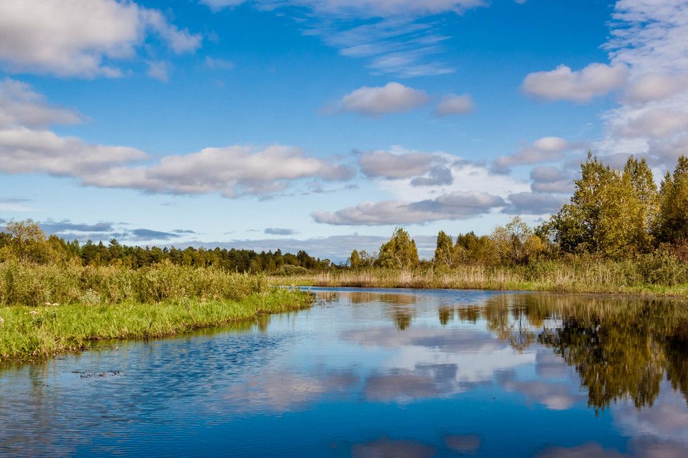 Река  Елома  переодевается  в  осенний  наряд.