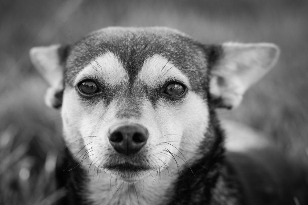 взгляд в душу