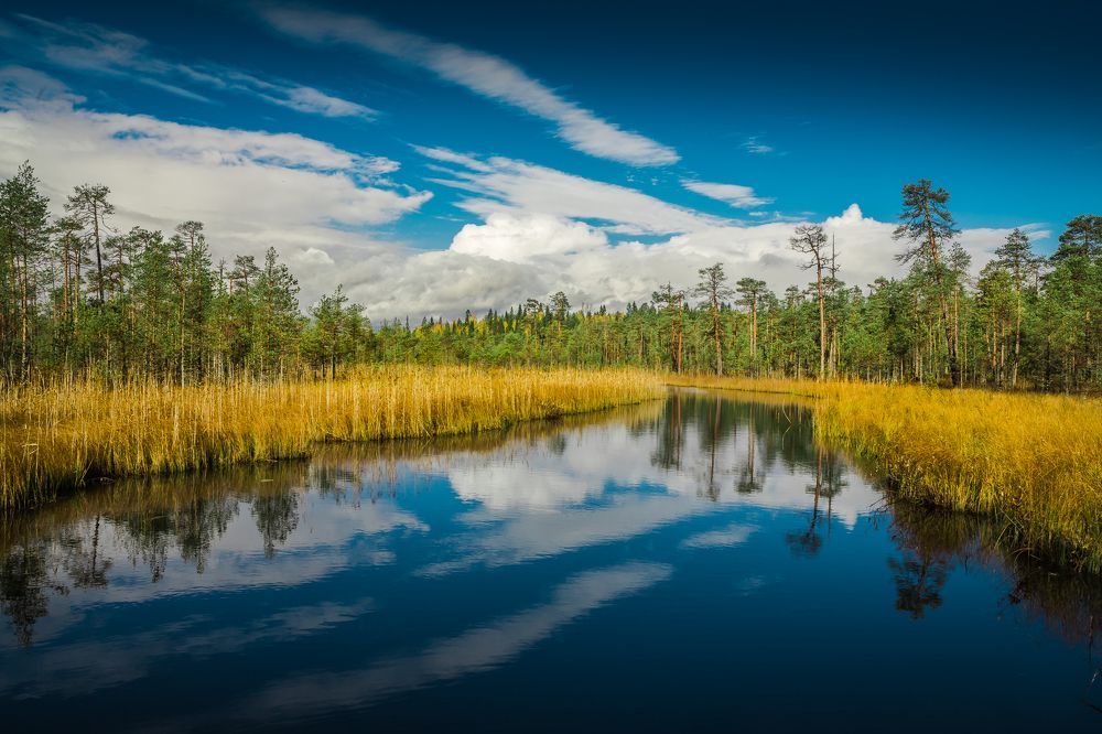 Карелия. Безымянный ручей.