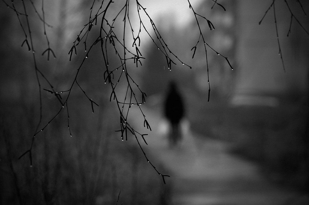 Photograph by Анна Кудрявцева