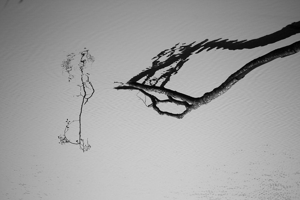 Photograph by Анна Кудрявцева