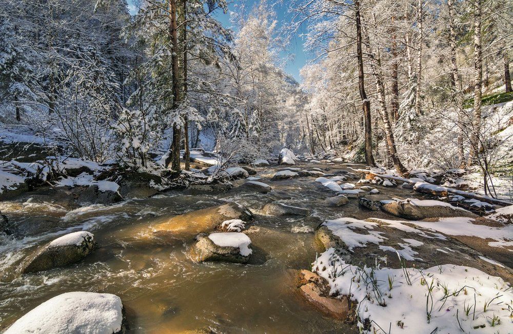 Photograph by lora_pavlova