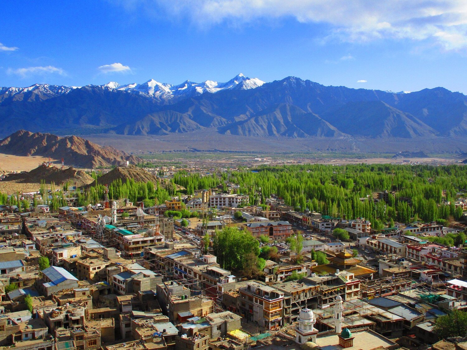 The City of Leh.