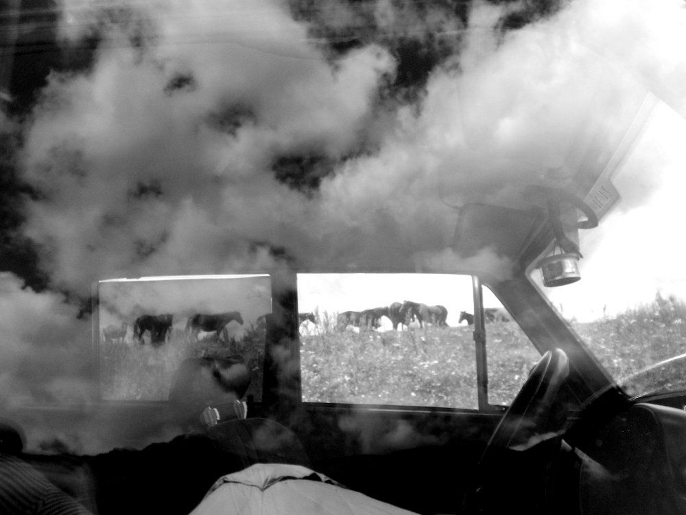 Сенокос rally