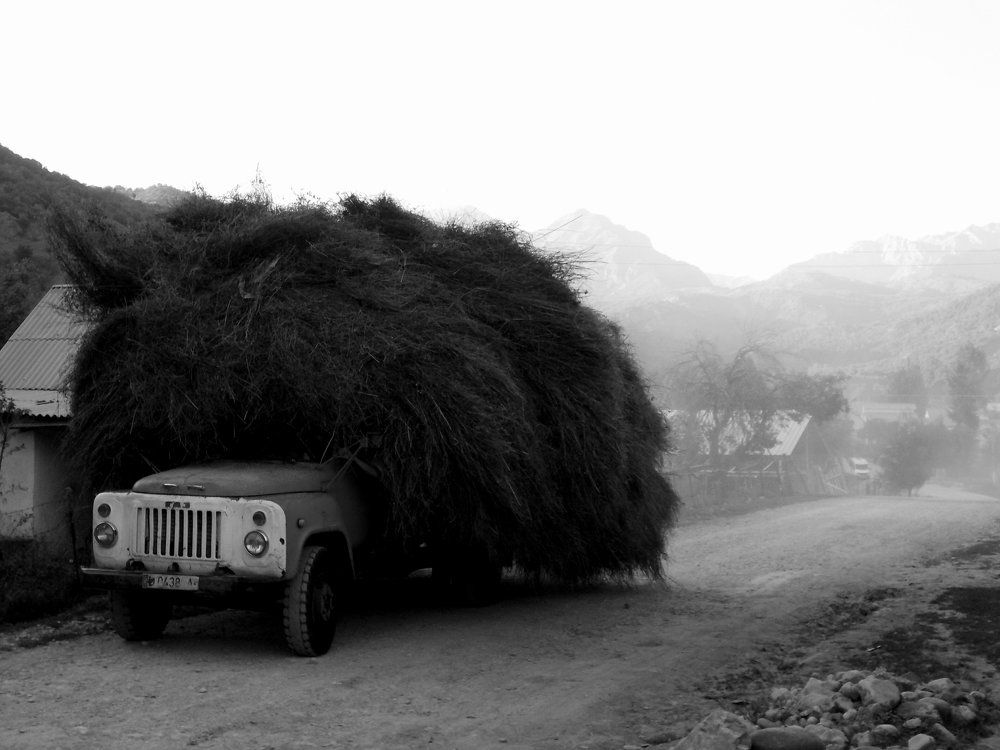 Лошади, небо сусамырской долины, Киргизия