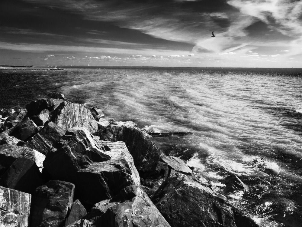 Фотография автора Алексей Школдин