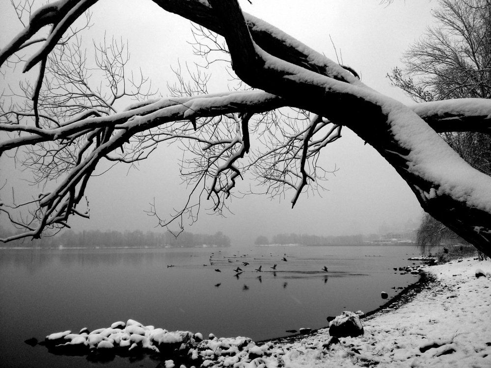 First snow