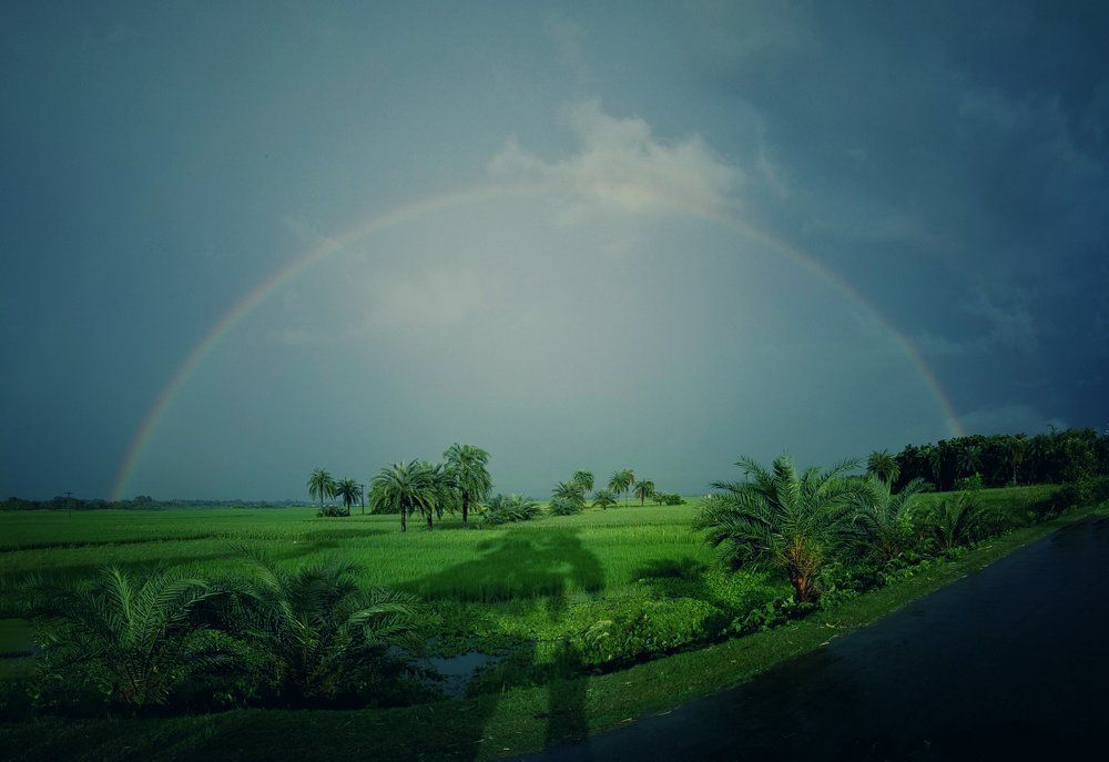 Rainbow