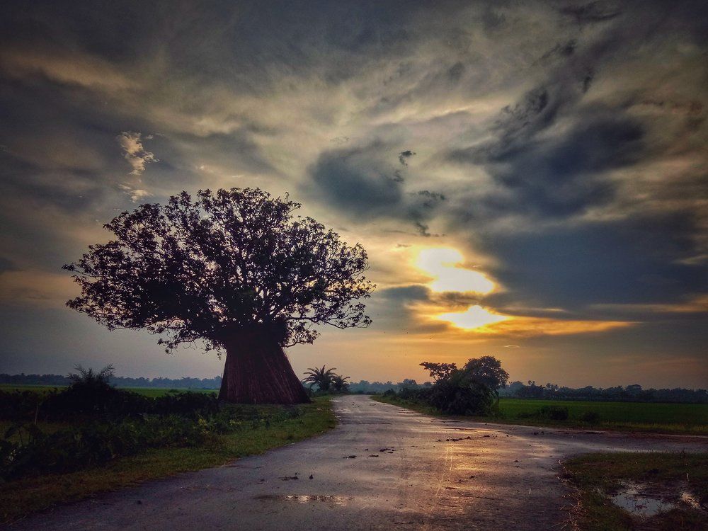 Sunset