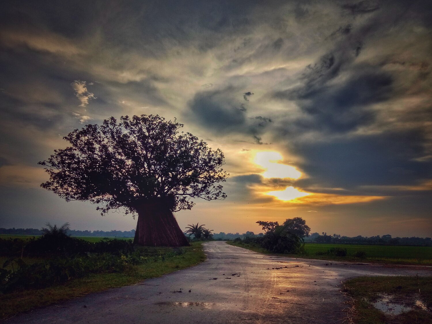 Sunset