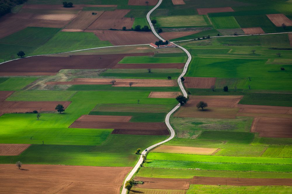 Умбрийское поле