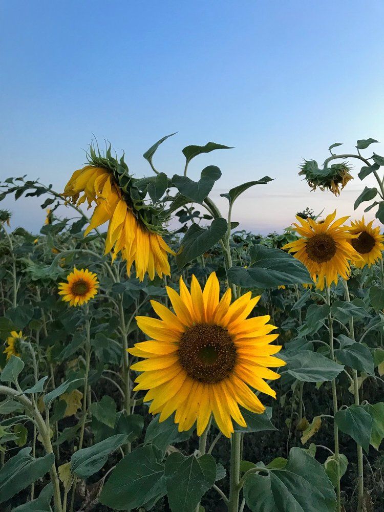 Photograph by Владимир