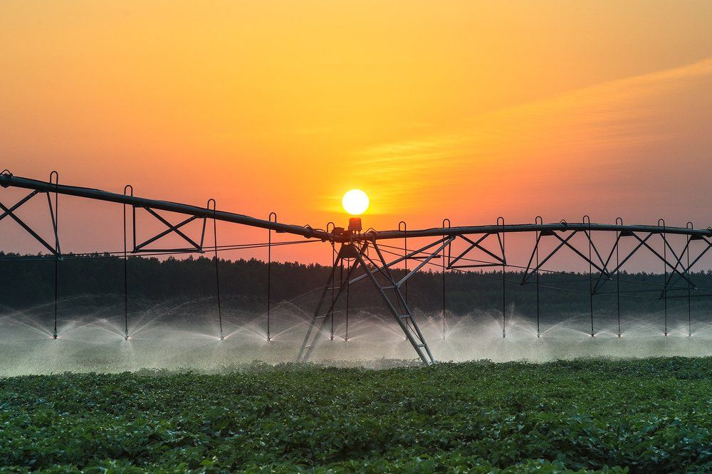 Расправляя крылья