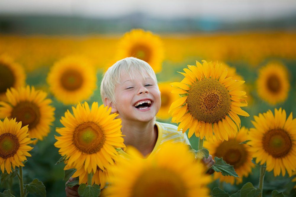 Photograph by Наталья Попова