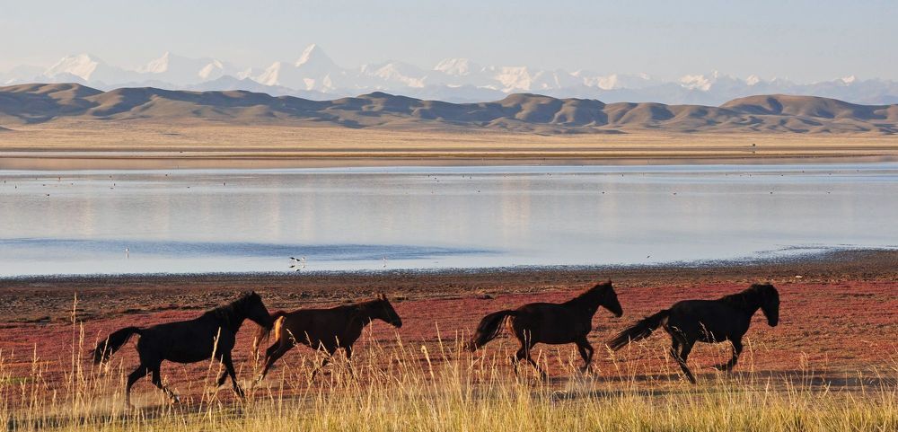 Центральный Тянь-Шань
