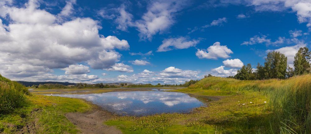 После дождя