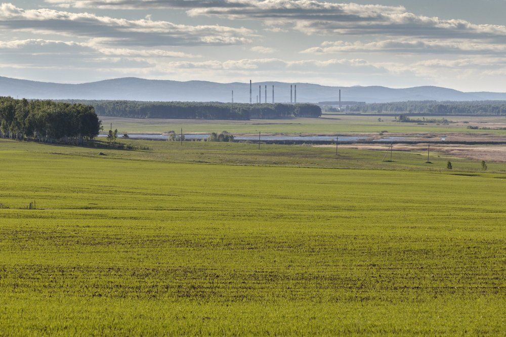 Трубы да поля