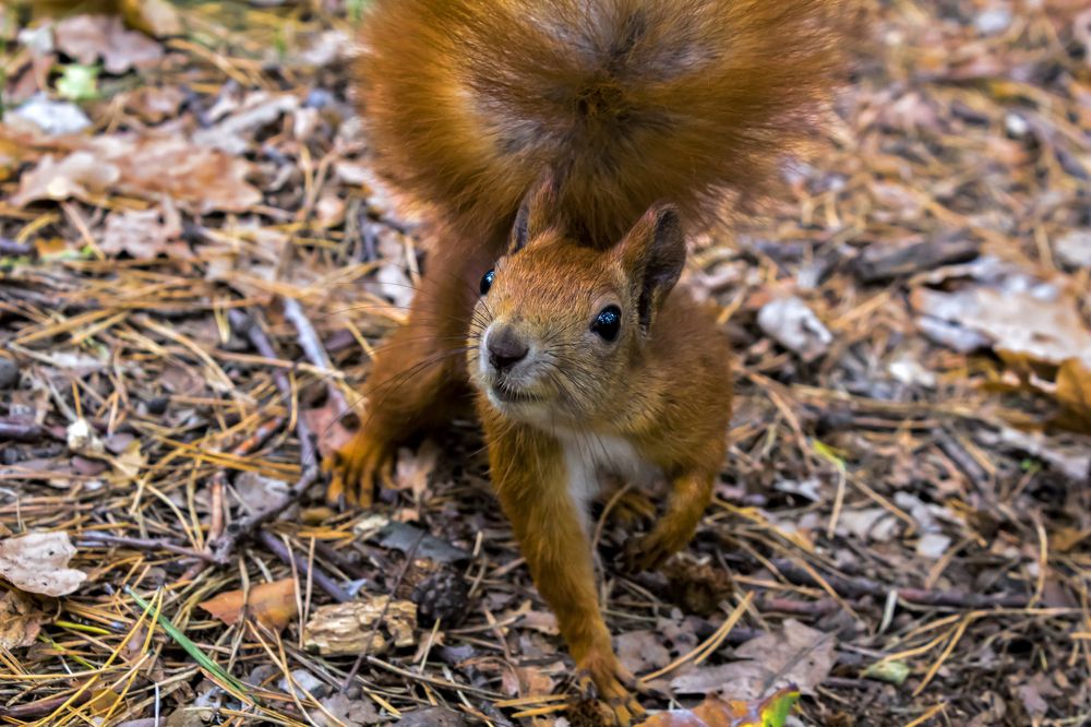 Photograph by Katerina Berezina