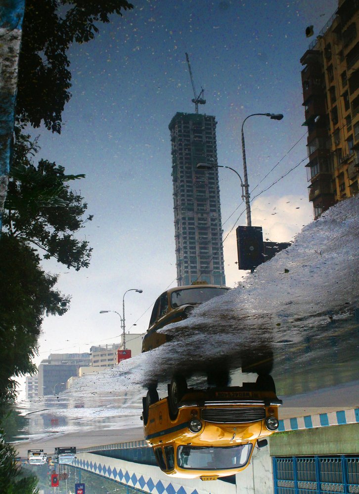 Reflected world