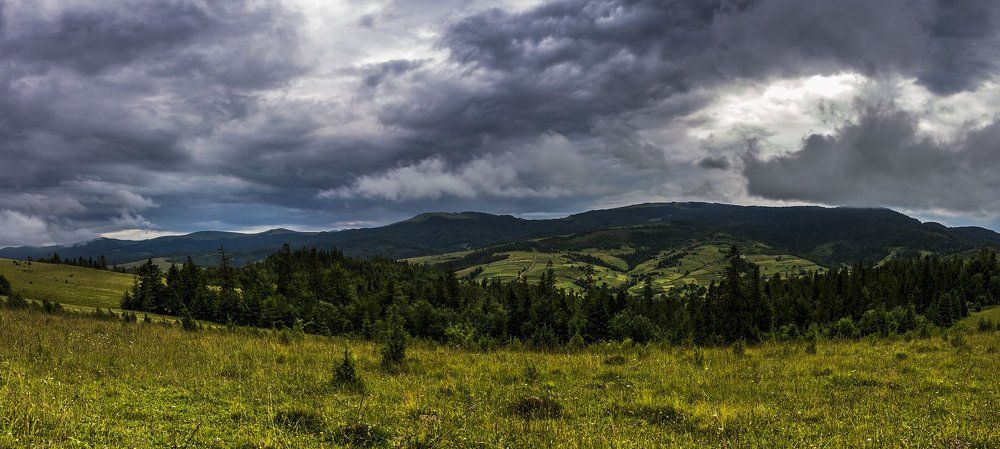 Photograph by Katerina Berezina