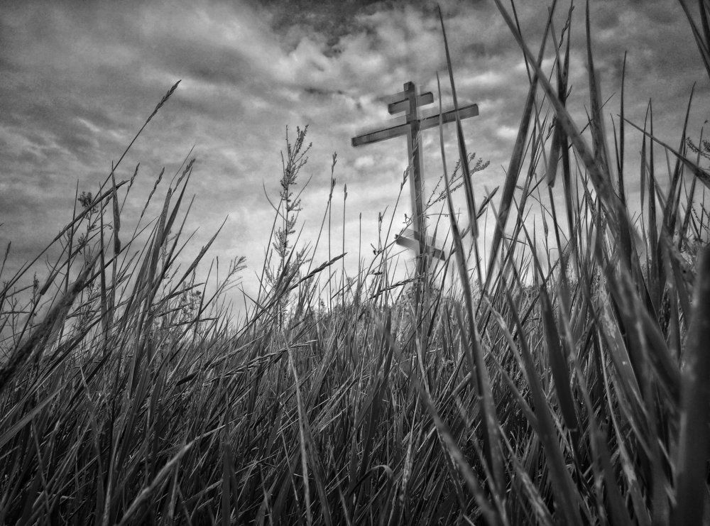 Photograph by Живулин Илья