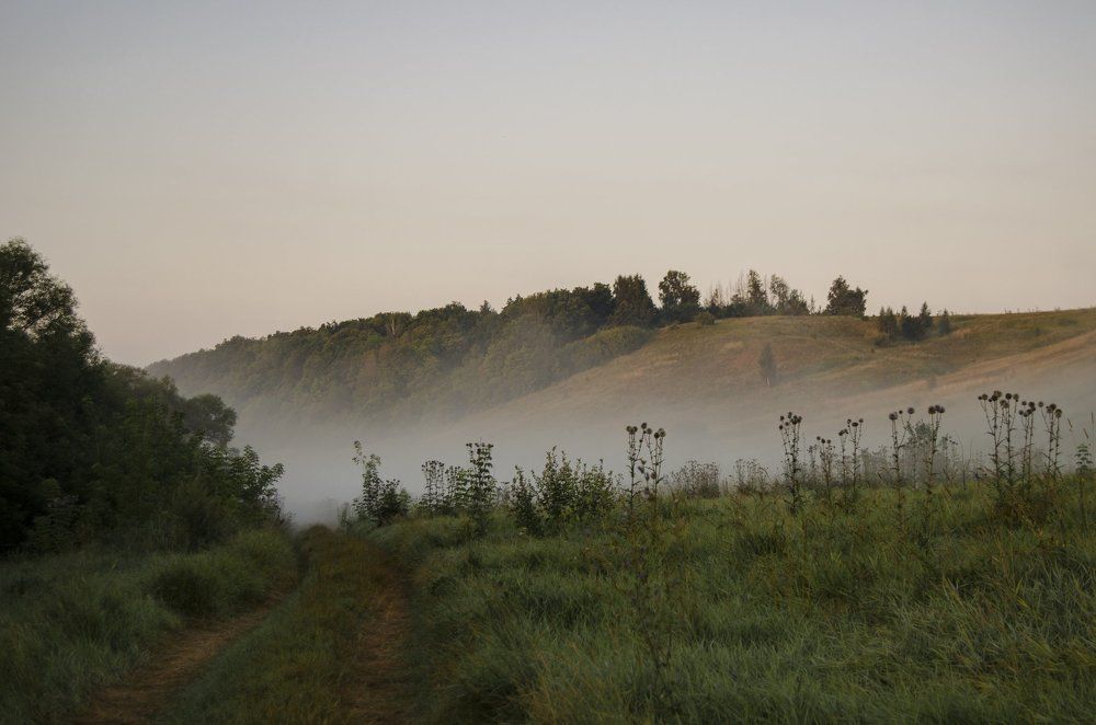 Туман. Рассвет