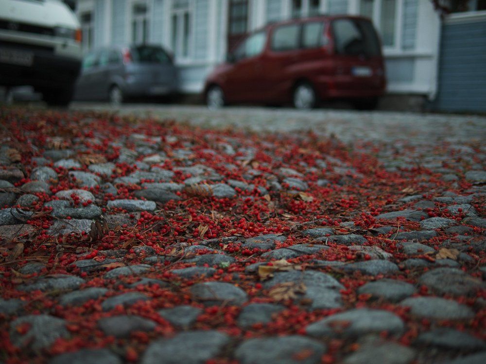 Autumn is coming