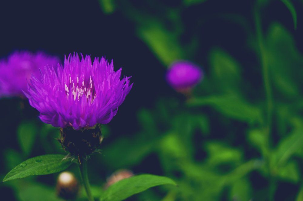 Photograph by Екатерина Бакулина