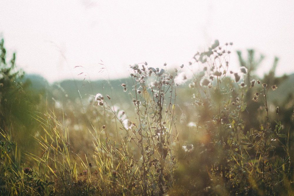 Photograph by Реннер Ксения