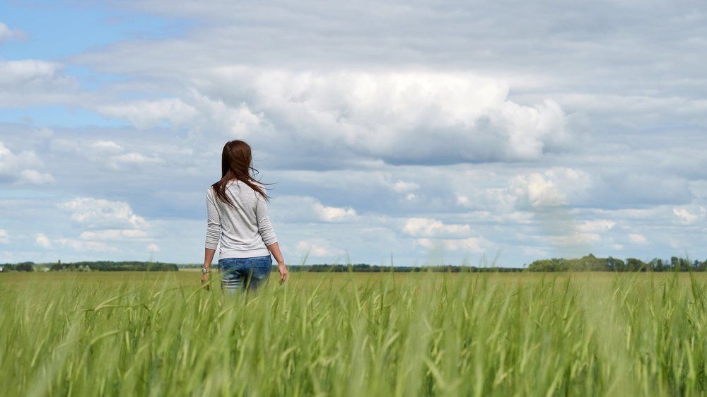 Нельзя не прогуляться по полю.