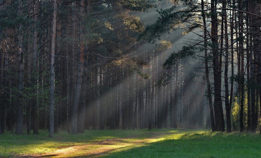 утро под Минском