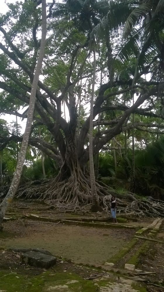 Beauty of nature