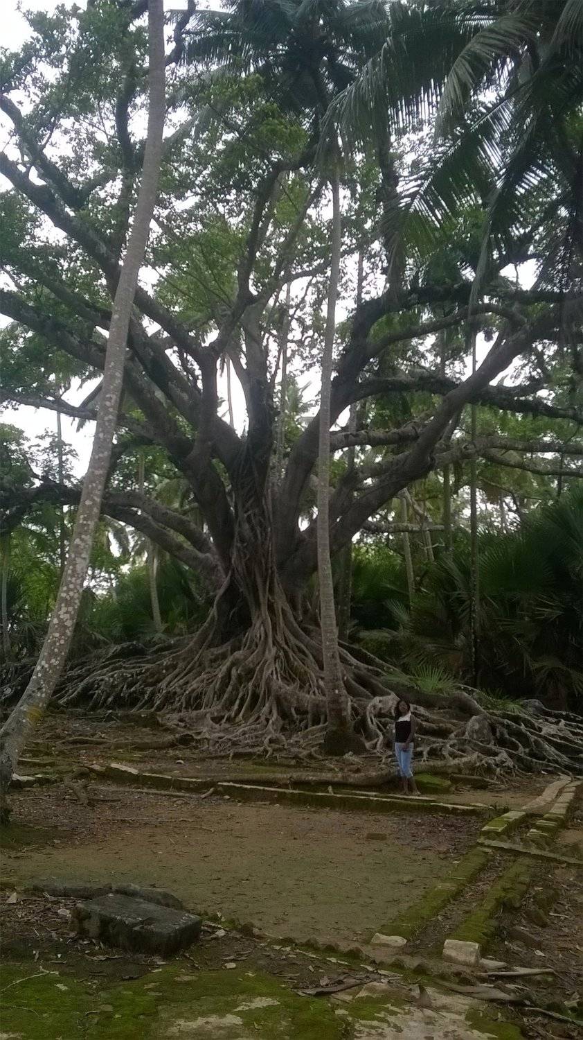 Beauty of nature