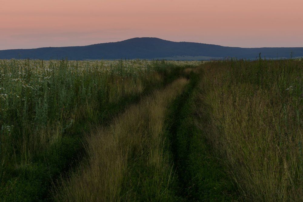 Дорожка в поле