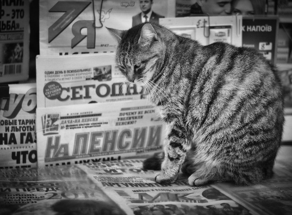 Я сегодня на пенсии