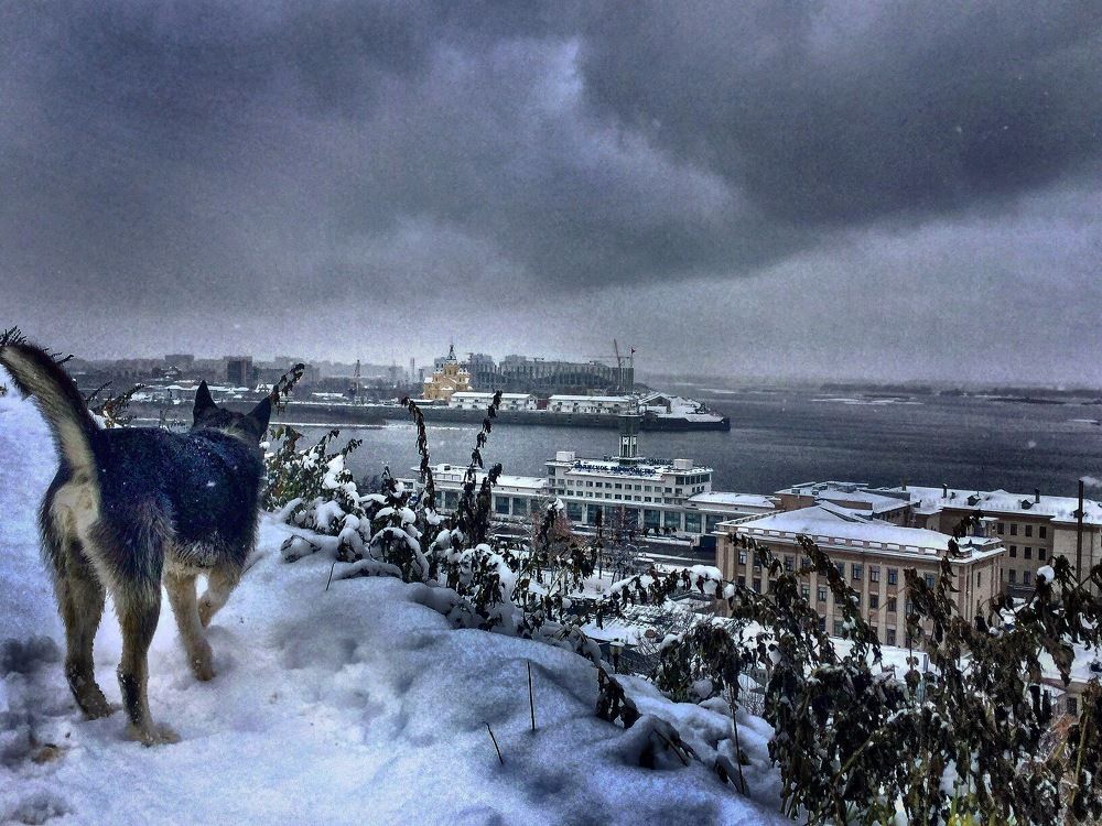 А впереди-зима, Иней и белый лёд