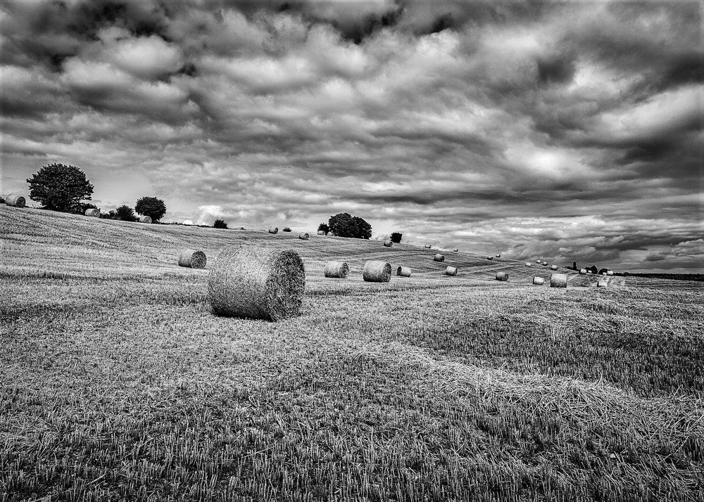 Photograph by Anatoly Chomko