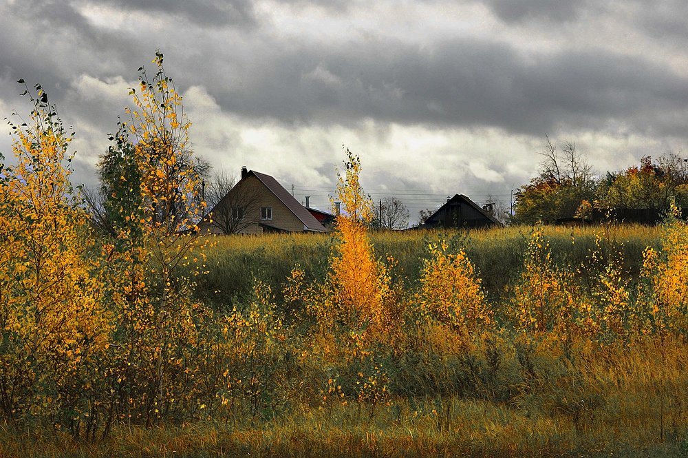 Вот и осень пришла, тучи серые.
