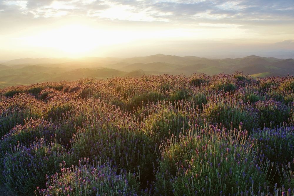 Ocidente enquanto poente