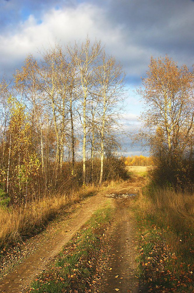 Осенний день.