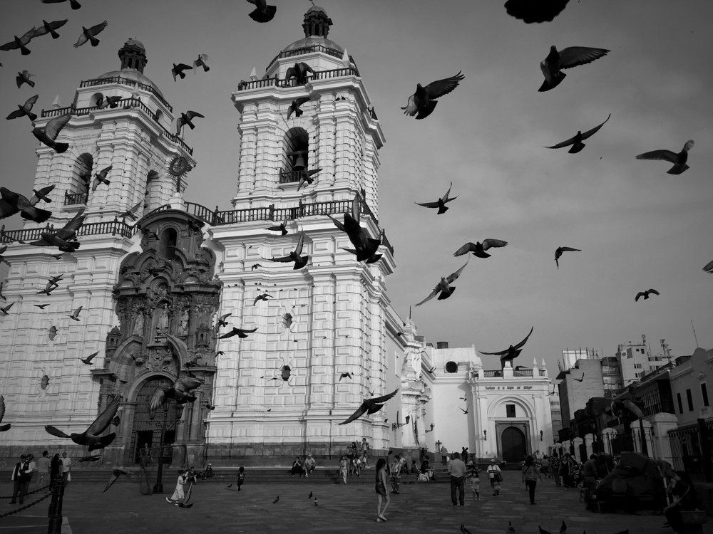 Church and Birds