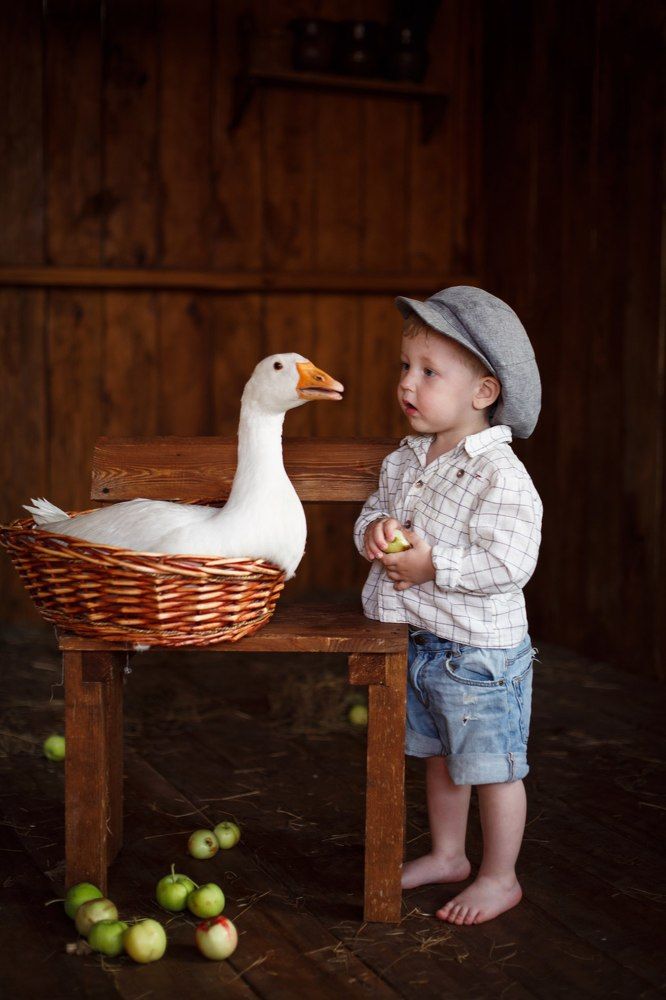 Photograph by Староверова Инна