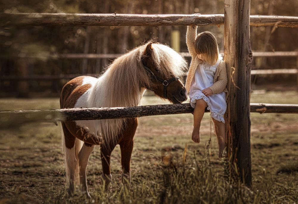 Я люблю свою лошадку!