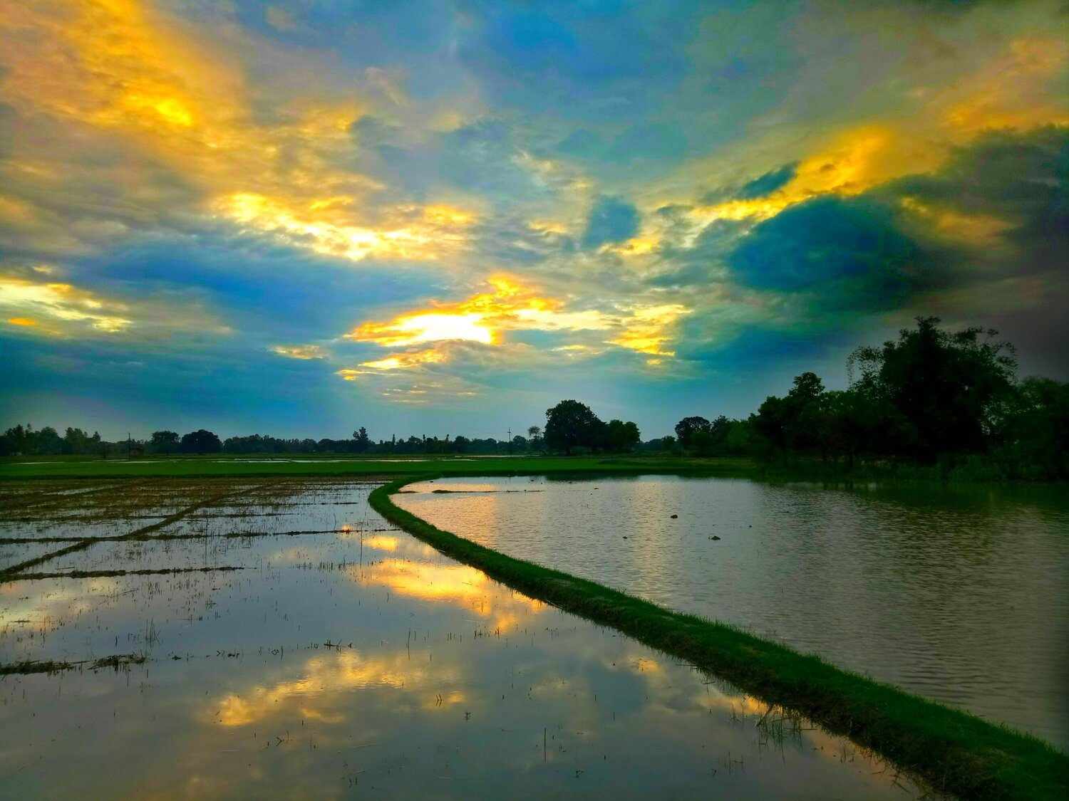 Rain in village