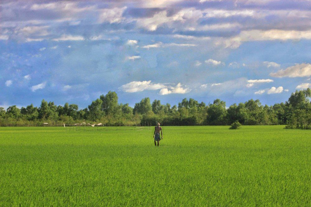 Beautiful land and sky