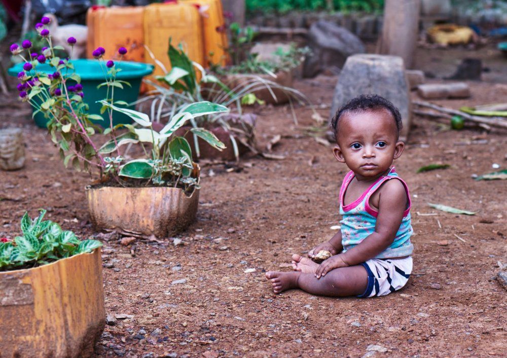 Дети Мадагаскар 4