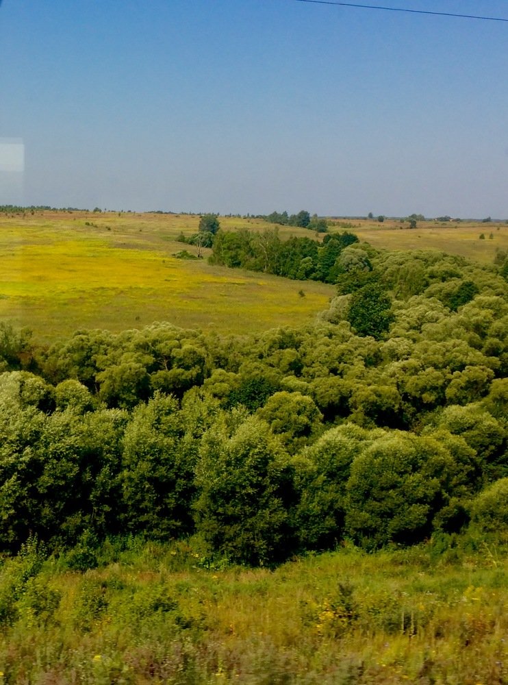 Фотография автора Светлана Дунаева