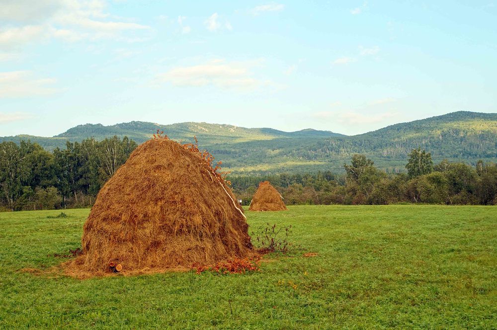 Алабия