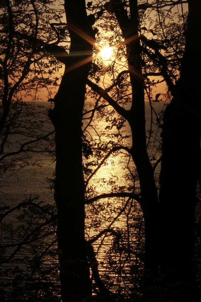 Лестница к солнцу