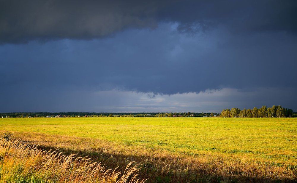 Перед грозой